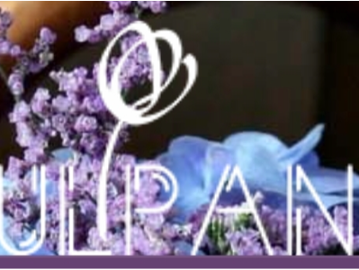 Тюльпан